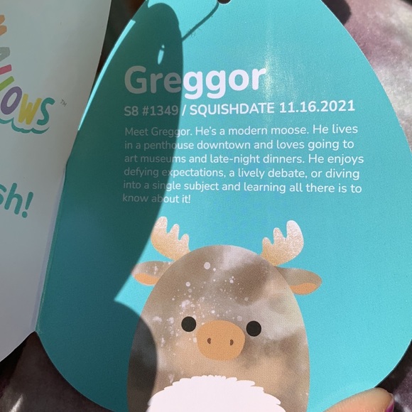 Squishmallows Greggor the Moose 8” - Picture 7 of 7